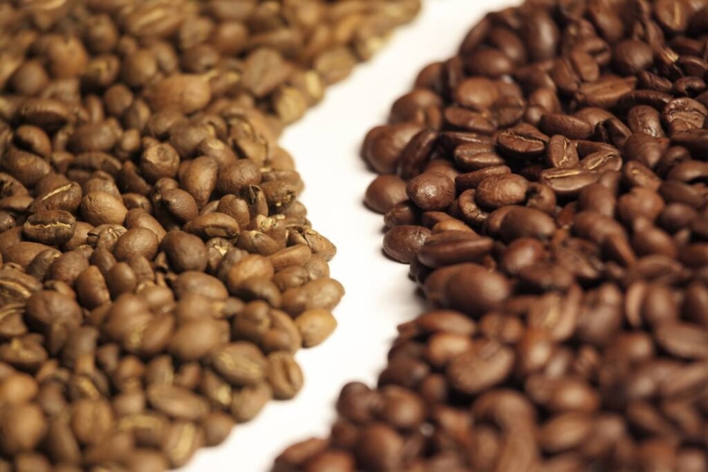 Kopi Robusta vs Arabika: Apa Perbedaannya?