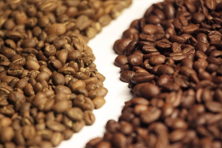 Kopi Robusta vs Arabika: Apa Perbedaannya?
