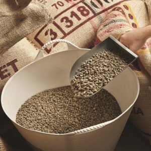 Kopi Ekspor Spesial dari Temanggung, Indonesia. Green bean dan roast bean premium langsung dari petani. Tersedia Arabika, Robusta, Excelsa untuk pasar lokal dan ekspor.