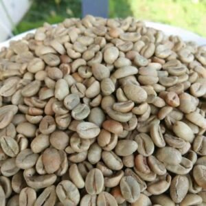 green bean arabika temanggung .sumbing sindoro jawa tengah