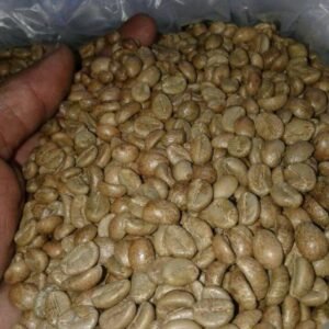 Kopi Robusta Temanggung Green Bean: Biji Kopi Mentah Berkualitas Langsung dari Petani