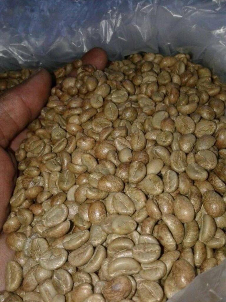 Kopi Temanggung: Supplier Kopi Temanggung Asli, Robusta dan Arabika Berkualitas dari Lereng Sindoro Sumbing
